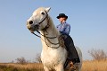  cheval,gardian,camargue,france. 