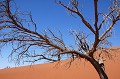  sossusvlei,dune,rouge,namibie,afrique. 