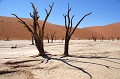  sossusvlei,namibie,afrique. 