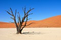  sossusvlei,namibie,afrique. 