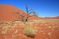  sossusvlei,desert,namibie,afrique. 