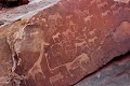 Situé à Twyfelfontein, dans le Damaraland, ce site extraordinaire présente environ 2500 figures gravées dans le grès rouge par les tribus qui peuplaient cette région entre 3000 à 4000 ans avant notre ère. gravures,rupestres,twyfelfontein,namibie,afrique. 