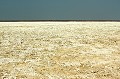 Etosha est la plus célébre réserve animalière de Namibie. Elle est constituée d'une vaste savane semi-aride, entourant un désert salin : l'Etosha Pan (6000 km2). Celui-ci n'est alimenté par les crues de rivières coulant depuis l'Angola, que quelques jours par an, attirant alors de nombreux animaux et oiseaux. A la saison sèche, entre mai et septembre, quelques points d'eau, implantés ici et là, préservent l'existence d'une faune magnifique et très diversifiée... (voir thème suivant : la vie au point d'eau). etosha,namibie,afrique. 