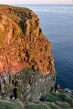 Sur les falaises de Latrapjarg, on peut observer des Mouettes tridactyles, des Pingouins torda et de nombreux Macareux moine... Ces derniers nichent sur les pentes enherbées des falaises ou sur des îles. A l'aide de leur puissant bec et de leurs pattes, ils creusent de profonds terriers (1 à 2 mètres de long) où ils installent et protègent leur progéniture. latrapjarg,macareux,moine,islande. 