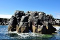  iles,farne,angleterre. 