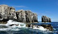 A moins d'une heure du petit port de Seahouses, sur la côte du Northumberland, d'impressionnants sites rocheux, émergent de la mer du nord, peuplés de colonies d'oiseaux. Le débarquement n'est pas possible sur toutes les îles. Seules Staple et Inner, placées sous la protection des gardiens de National Trust, peuvent accueillir, pour quelques heures par jour, des visiteurs... iles,farne,angleterre. 