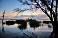 Le lac Baringo est après le lac Turkana, le lac d'eau douce le plus septentrional de la vallée du Rift au Kenya. D'une superficie de 168 km2, il est enserré au milieu de collines et de montagnes. C'est un paradis pour oiseaux, qui abrite aussi de nombreux hippopotames et crocodiles... baringo,kenya. 