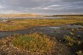  bogoria,kenya. 