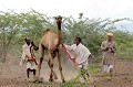  afar,ethiopie. 