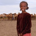 Appelé "peuple du vent", les Afar mènent une vie difficile. Dans la région du Dallol, à la pointe septentrionale du Danakil, dans de terribles conditions climatiques (+ 50° C !!!) ils vont tailler le sel d'une épaisse banquise, en pains rectangulaires et le transporter à dos de dromadaires, sur plusieurs centaines de km, vers la capitale... afar,ethiopie. 