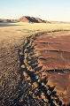 La rivière Tsauchab a érodé le sol du désert pour former le canyon de Sestriem. tsauchab,namib,namibie. 