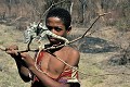  cameleon,madagascar. 