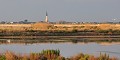 Créée en janvier 1980 et gérée par la Ligue de Protection des Oiseaux, la Réserve naturelle nationale de l'Ile de Ré, accueille chaque année des milliers d'oiseaux migrateurs et sédentaires. ileau,niges,re,france. 