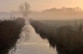  marais,france. 