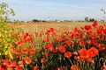  re,paysage,france. 
