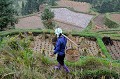  rizieres,dong,chine. 