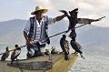  peche,cormoran,chine. 