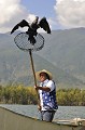 A l'aide d'une épuisette, le pêcheur récupère l'oiseau et le poisson. peche,cormoran,chine. 