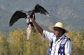  peche,cormoran,chine. 