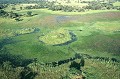 C'est la fin de la période des pluies. L'eau est abondante, la nature explose... Le paysage décline sa palette de couleurs  vertes... delta,okavango,bostwana. 