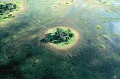 Le delta s'étend sur 12 000 km2. delta,okavango,bostwana. 