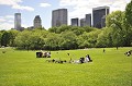 Central Park est le poumon vert de la ville. Au cœur de Manhattan, les new yorkais et les visiteurs disposent de 341 hectares de prairies et de bois, pour se promener, se détendre, faire du sport. Un vrai bonheur ! La campagne à la ville, véritable antidote au bruit et au surmenage. central,park,new,york. 