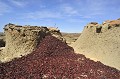 L'oseille de Guinée ou bissap est une plante herbacée de la famille des malvacées, qui pousse en zone tropicale. A partir des fleurs séchées, il est possible de confectionner un sirop tonifiant et rafraîchissant, du thé et de la bière... Le bissap intervient aussi dans la pharmacopée traditionnelle... dogon,bissap,mali,afrique. 