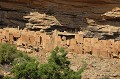 Ces maisons et greniers accrochés à la falaise de Bandiagara sont des vestiges d'habitats Tellem du XIème siècle puis Dogon du XVème siècle à nos jours. dogon,mali,afrique. 