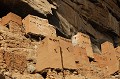 Les Tellem vivaient en troglodytes, leurs maisons construites dans la falaise. De petite taille, ils ont été associés à tort aux pygmées. Leur activité était principalement celle d'un peuple de cueilleur chasseur. Ils ont été délogés par les Dogon et se sont réfugiés au Burkina Fasso. Les sécheresses, famines et maladies ont décimé cette ethnie... dogon,mali,afrique. 