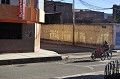  puno,puma. 