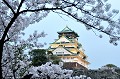 Elevée au centre d'un grand parc de 6 ha, la forteresse veille sur Osaka. Elle fut édifié au XVIème siècle , maintes fois détruite au cours des conquêtes et des batailles, elle a abrité au cours de son histoire, une imposante garnison de samouraï. Ces guerriers combattaient à cheval, au sabre ou à l'arc, revêtus d'un heaume et d'une armure souple. Le bushidô ou la voie du guerrier était le code qui régissait la vie du samouraï, exaltant la droiture, le courage, la bienveillance, la politesse, la sincérité, l'honneur, la loyauté. Il a inspiré les kamikazes pendant la seconde guerre mondiale et souffle encore dans le cœur des Japonais du XXIème siècle... chateau,osaka,japon. 