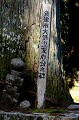  stele,cimetiere,samourais,koyasan,japon. 