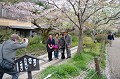 Haut lieu touristique du nord-est de Kyôto, notamment lors de la floraison des cerisiers, ce chemin longe un canal et rejoint les temples Ginkaku-ji et Eikan-do Zenri-ji. Il tire son nom du philosophe japonais zen Kitaro Nishida, fondateur de l'école philosophique de l'université de Kyôto, qui aimait y méditer. chemin,philosophie,kyoto,japon. 
