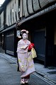  geisha,japon. 