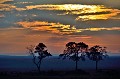  masai,mara,kenya. 