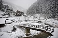 Jigokudani signifie "Vallée de l'enfer" en raison de la vapeur et de l'eau chaude qui bouillonnent hors de petites crevasses, dans le sol gelé, le tout entouré de falaises abruptes et de forêts froides et denses. Ici, à 850 mètres d'altitude, aux abords de la rivière Yokoyu, s'ouvre le paradis blanc des macaques du Japon. jigokudani,japon 