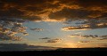  masai,mara,kenya,afrique 
