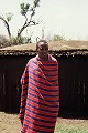 Pasteurs nomades, les Masaïs se nourrissent du lait, de la viande et du sang de leurs animaux. Leur vie sociale est découpée en cycles et rites : le passage de l'adolescence à l'âge adulte est marqué par la circoncision (le jeune devient "morane", quitte village et famille, pour apprendre le métier de pasteur et de guerrier). "L'eunoto" 7 ans plus tard met un terme au moranisme, permettant au jeune de se marier et de conduire son propre troupeau. Sept ans plus tard, il peut accéder au rang d'ancien, participer au Conseil. Seuls les devins appelés "laidons" peuvent prétendre représenter le Dieu Enkai et diriger le clan... ethnie,masai,kenya,tanzanie,afrique. 