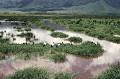  paysage,ngorongoro,tanzanie,afrique. 