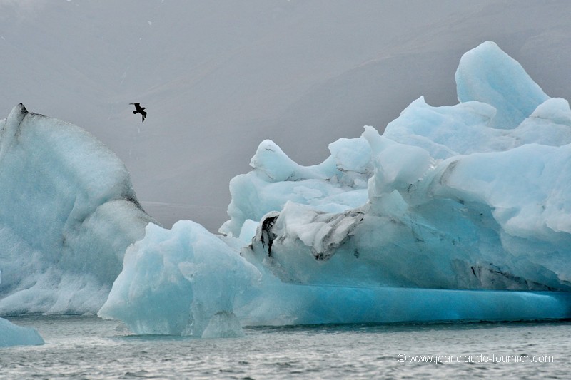Jökulsarlon