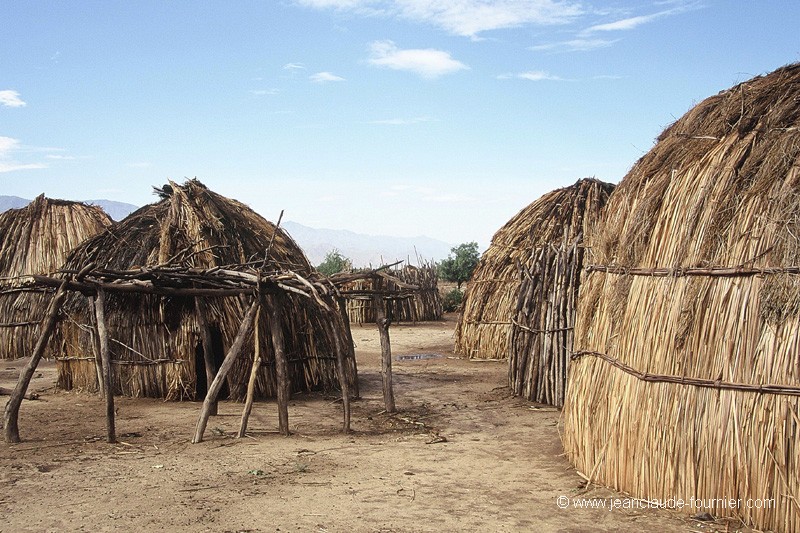 Un village Arboré