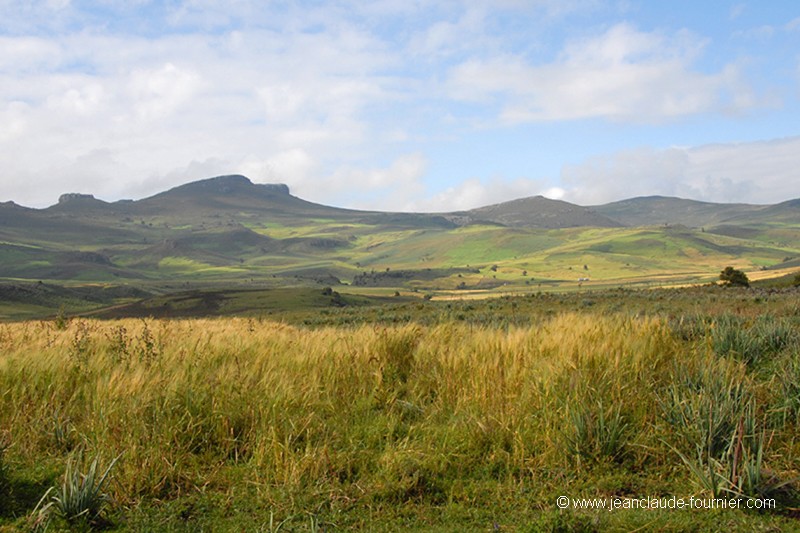 Paysage rural