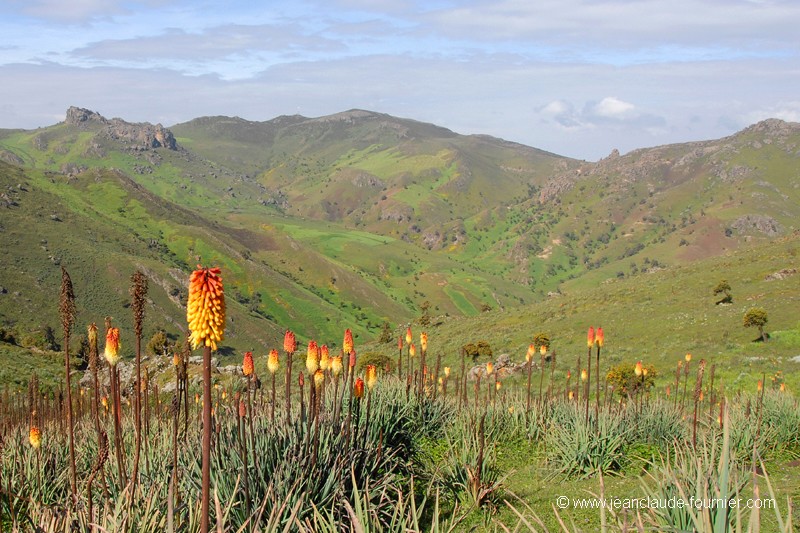 Paysage de montagne