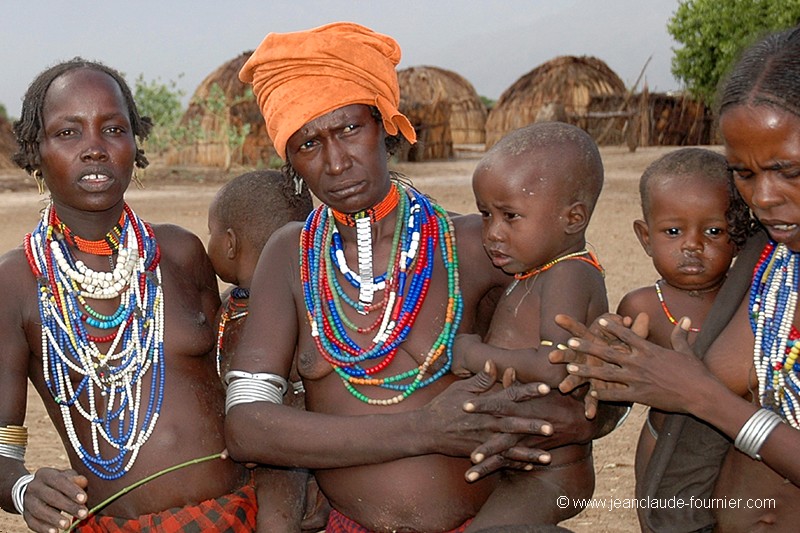 Tribu Arboré