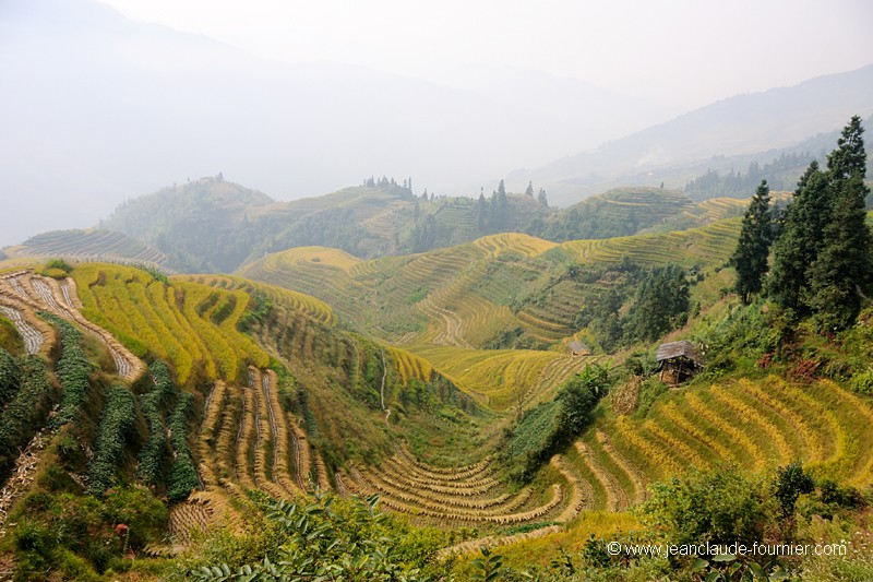 Paysage du Guangxi