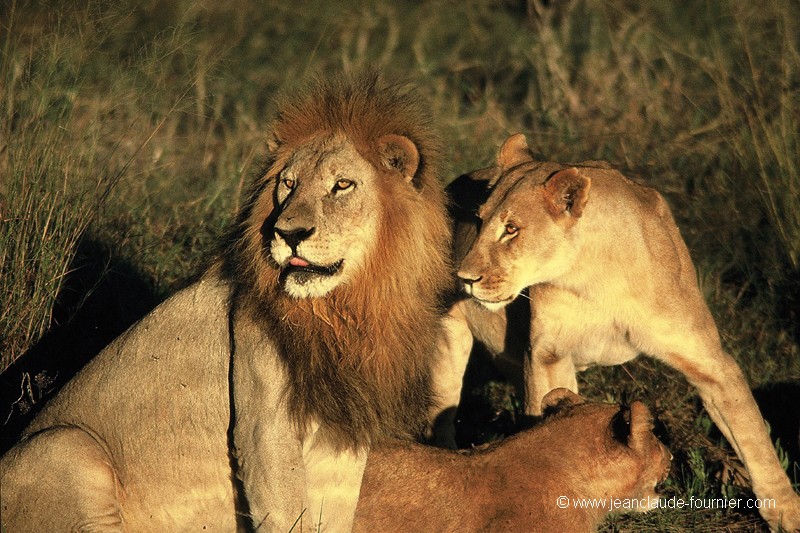 La famille