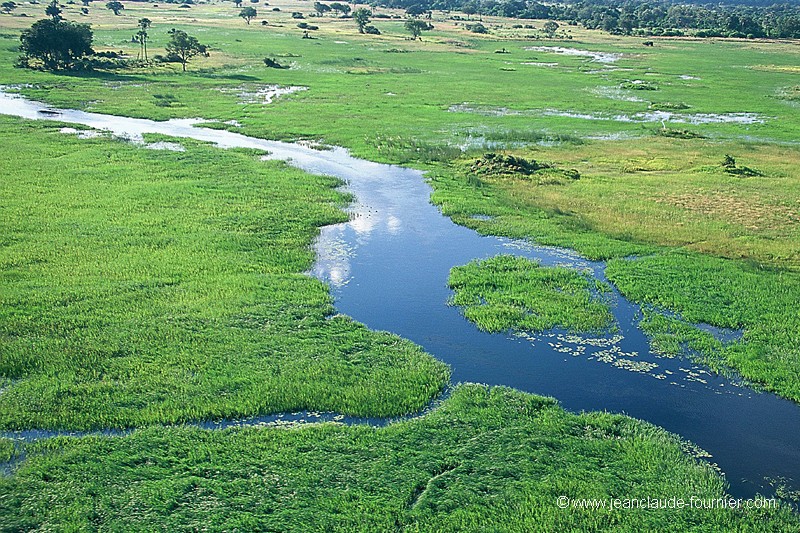 Delta de l'Okavango