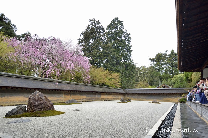 Jardin sec ou zen