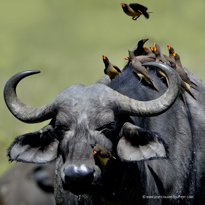Transport en commun