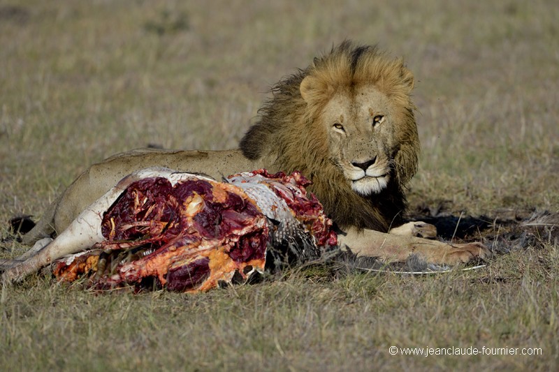 La faim